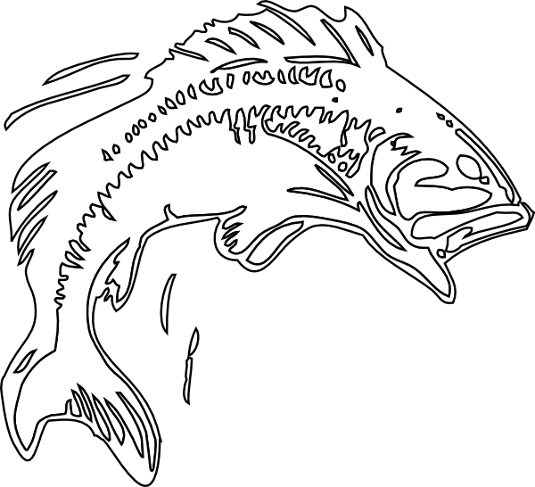 600x546 Bass Fish Wireframe Clip Art