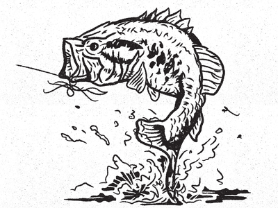 400x300 Bass By Michael Bergman