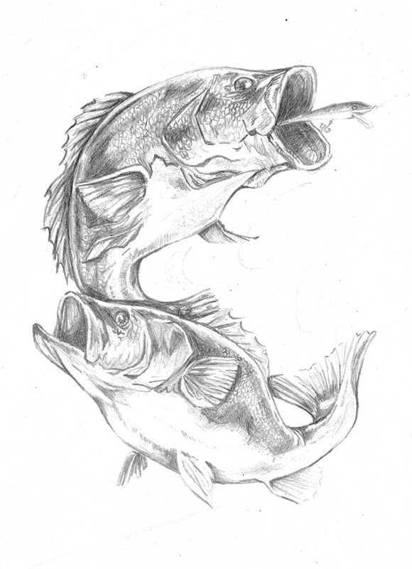 Largemouth Bass Drawing at GetDrawings | Free download