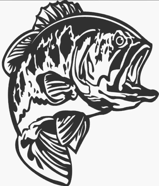 Largemouth Bass Drawing at GetDrawings | Free download