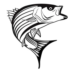 300x300 Texas Largemouth Bass Fish Coloring Pages Best Place To Color