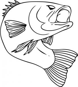 270x302 How To Draw A Bass Fish Step 6 Painting Bass, Fish