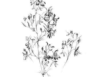 340x270 Sketch Of Flowers Etsy