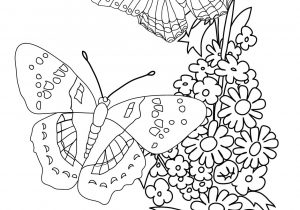 300x210 Flower Butterfly Drawing How To Draw A Butterfly On A Flower
