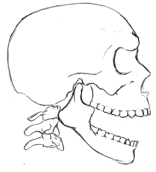 600x663 Laughing Skull By Prettylittlefools