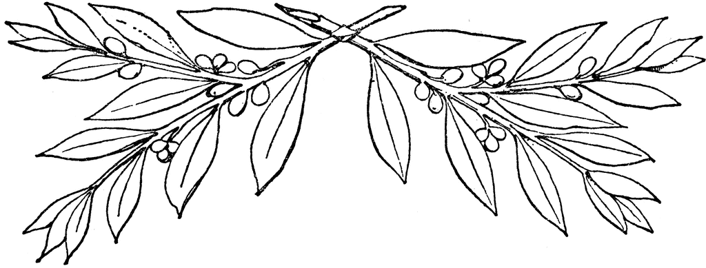 1024x389 Laurel Branches Clipart Etc