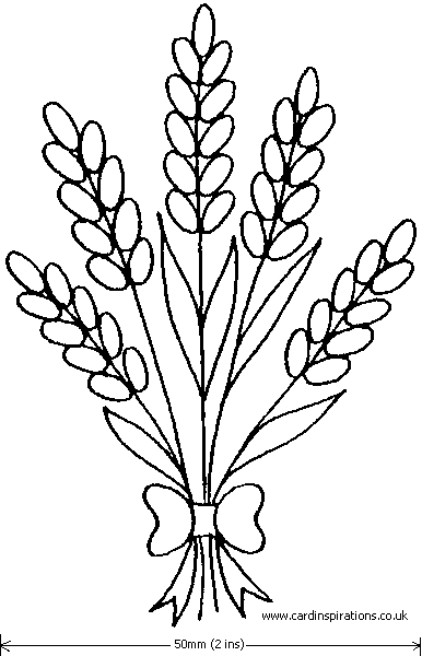 386x600 Drawing Of Lavender