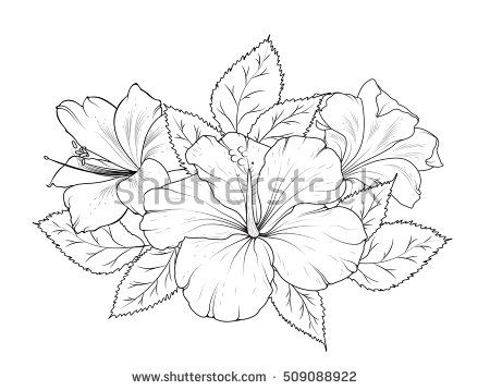 450x358 The Best Bouquet Of Flowers Drawing Ideas On Blue
