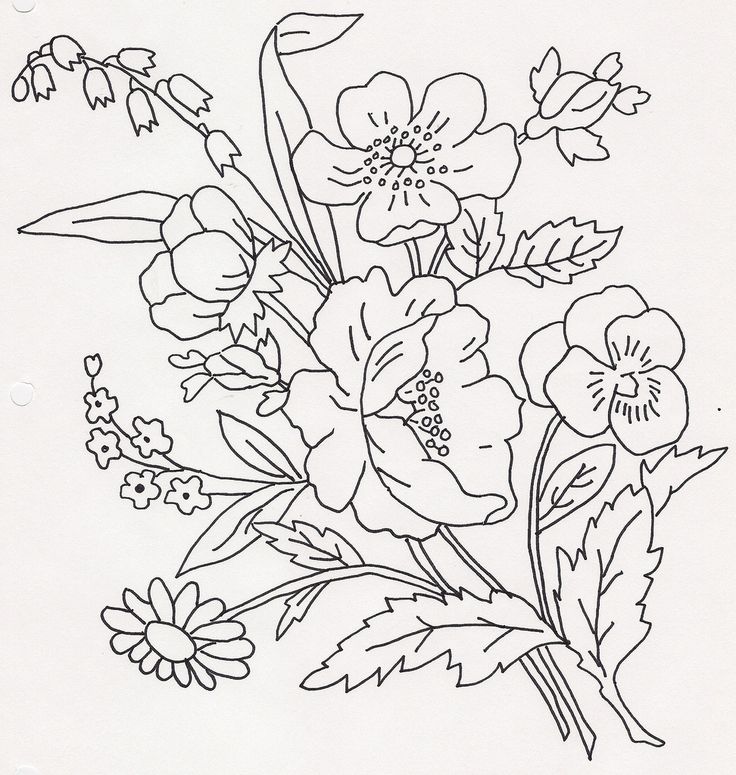 736x775 309 Best Hand Drawing Flowers, Trees And Leaves Images