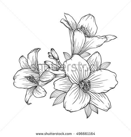 450x470 Beautiful Monochrome Black And White Bouquet Lily Isolated