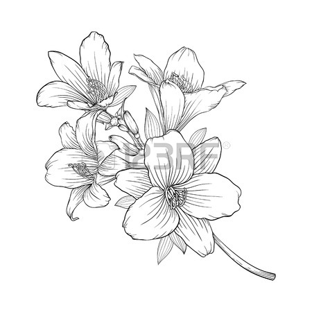 450x450 Abstract Bouquet Line Images Amp Stock Pictures. Royalty Free