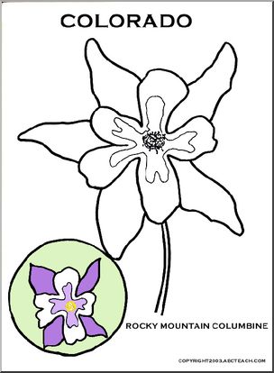 304x414 Colorado State Flower