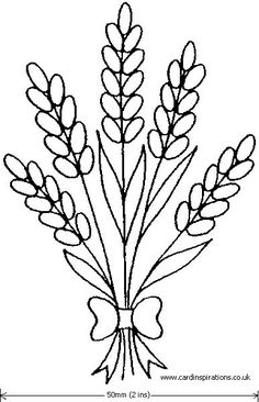 236x366 Pencil Drawing Of Lavender Flowers The Snowflower Diaries Meet