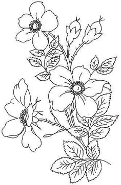 236x362 How To Draw A Lavender Step By Step. Httpwww.examguideonline