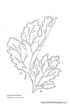 236x364 Sea Lavender. [Limomium.] (1739) Flowers Lavender