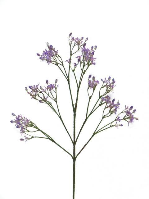 480x640 Waxflowers Shop