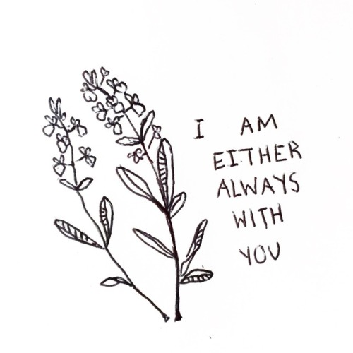 500x500 Lavender To White Tumblr