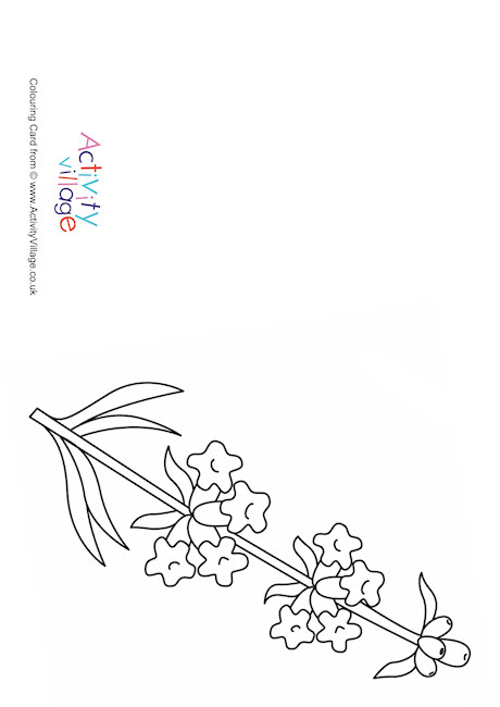460x650 Colouring Card