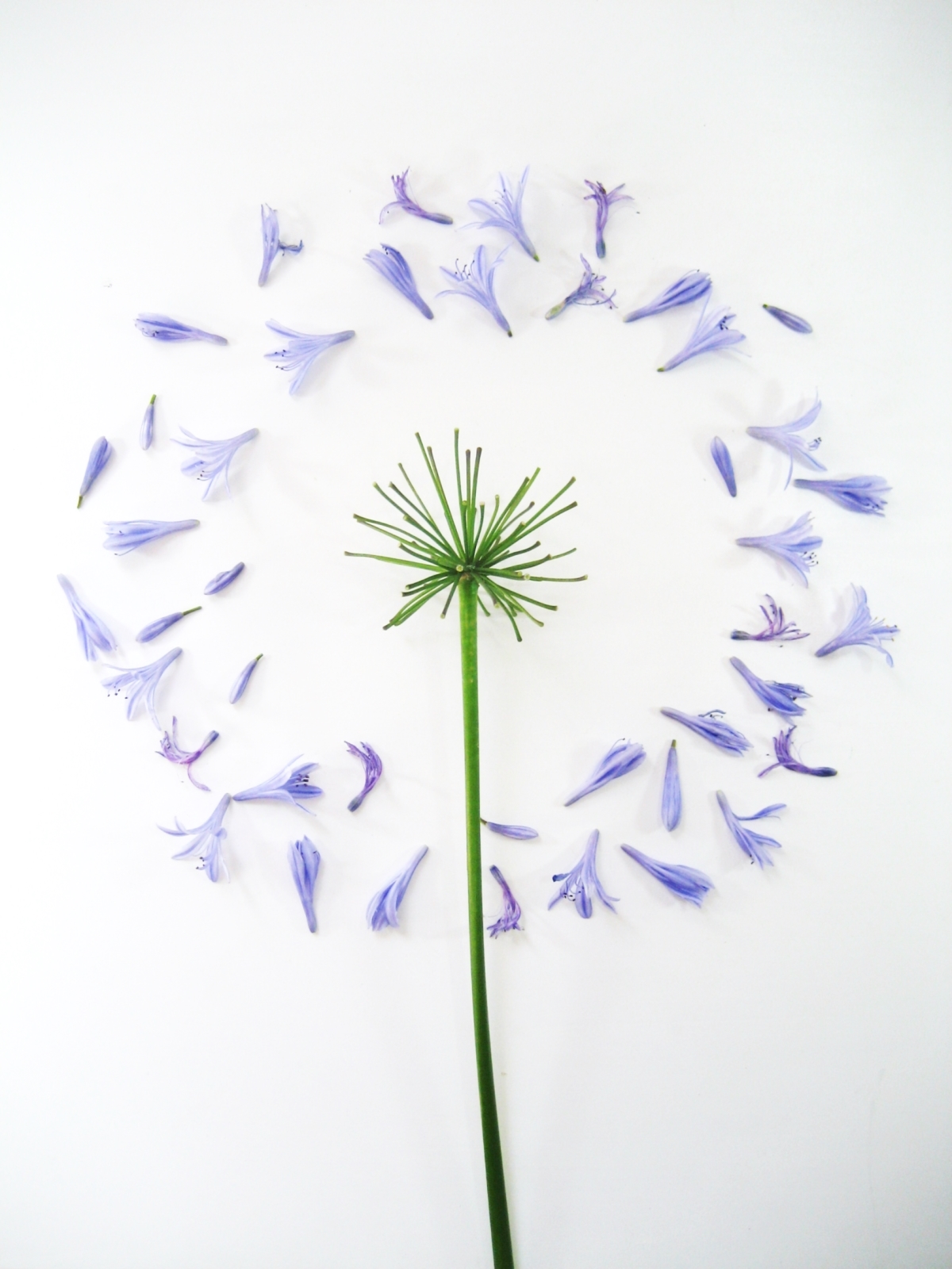 1200x1600 Diy Easy Table Decoration Minimalist Look For Minimal Dollars