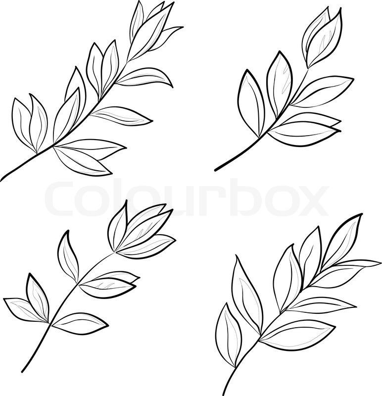 772x800 Leaves Of Various Plants, Set Contours On A White Background