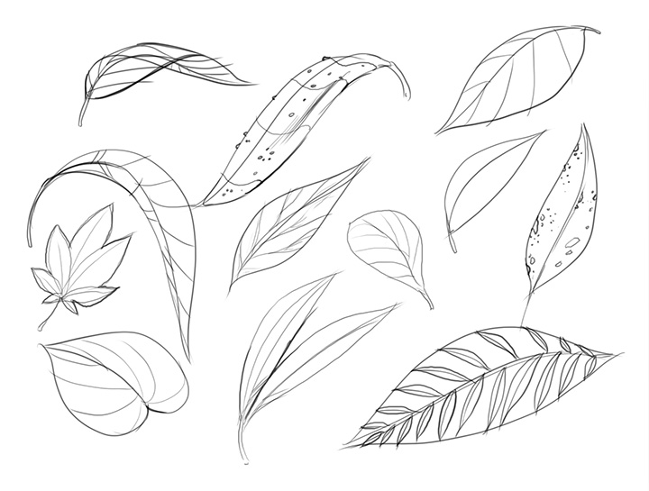 720x545 Lesson 3 Drawing Plants