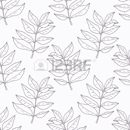 450x450 Hand Drawn Curry Leaves And Branch Outline Seamless Pattern