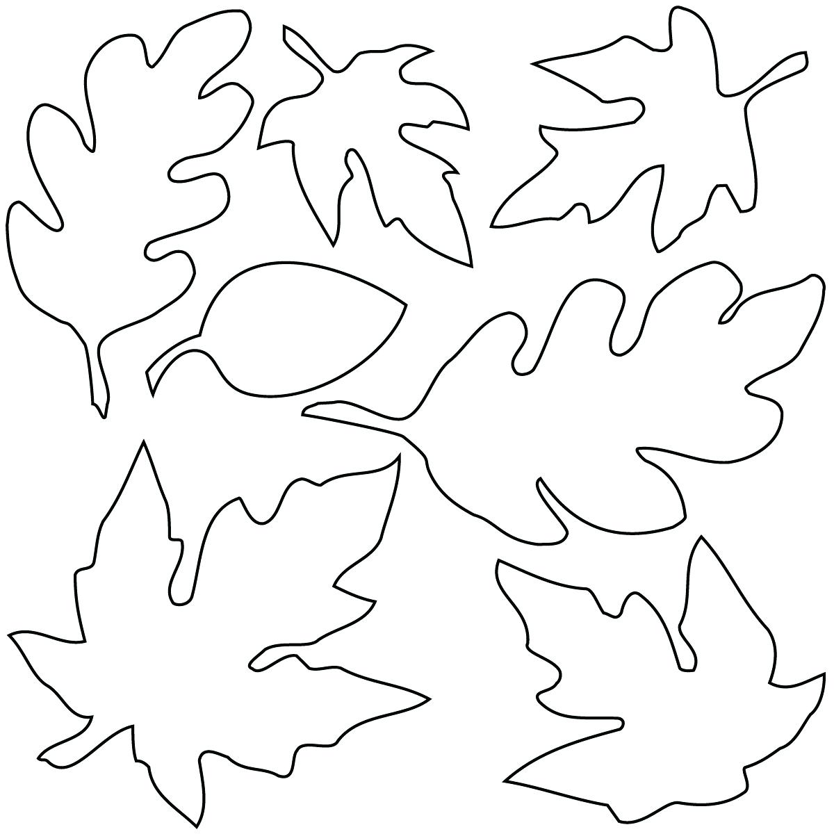 1200x1200 Printable Oak Leaf Outline Printable