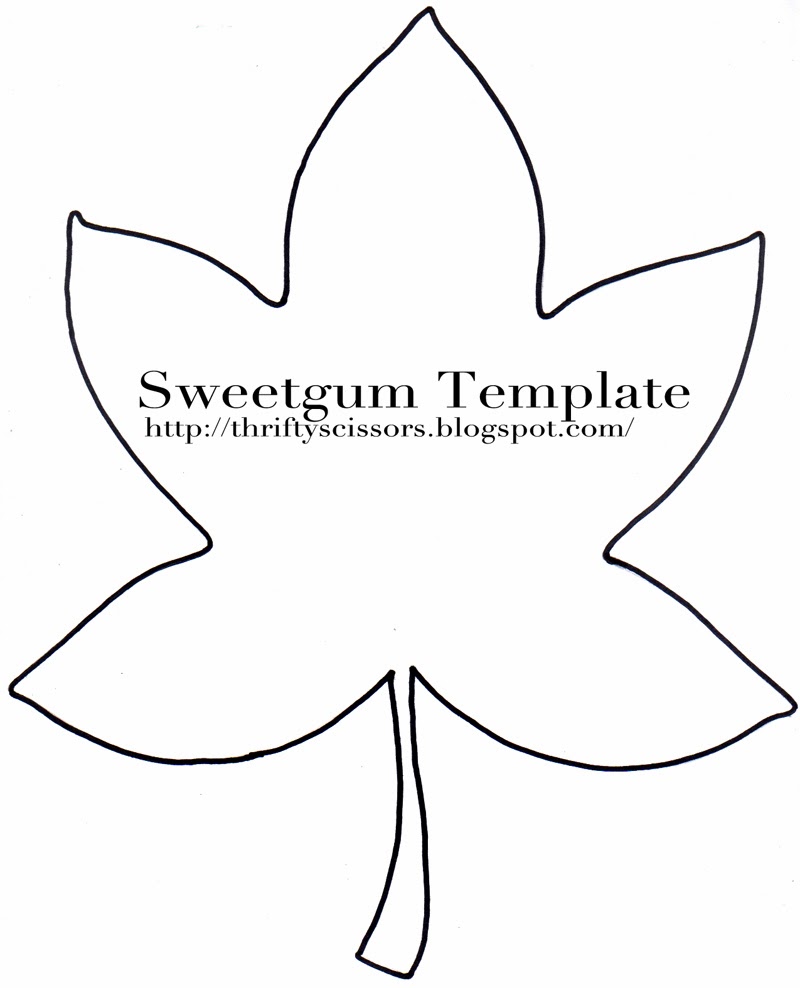 800x988 Best Photos Of Simple Leaf Stencil