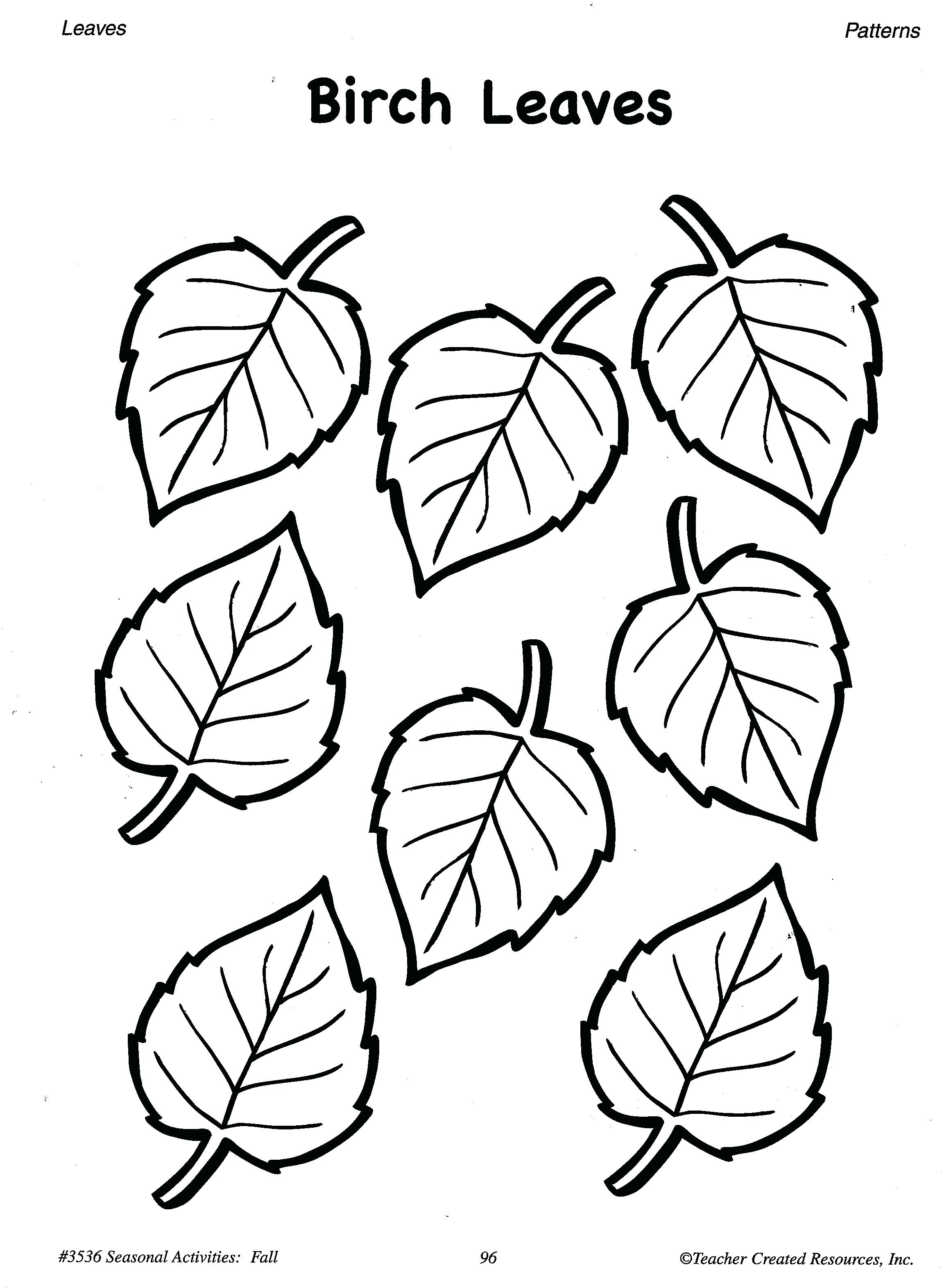 2300x3143 Printable Printable Tree Template No Leaves