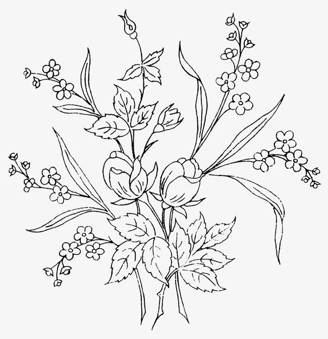 650x673 Flowers Leaves And Vines, Flowers, Leaves, Vine Png Image For Free