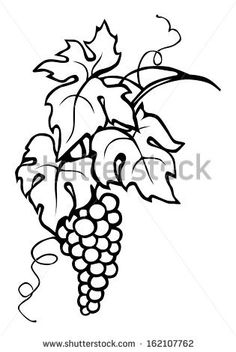236x352 Illustration Of Black Calligraphy Frame Wine Label Vine Grapes