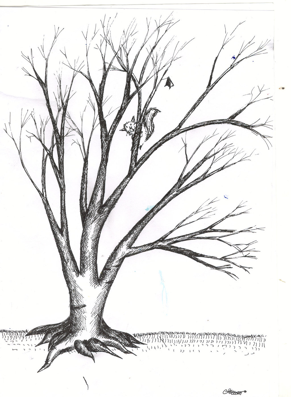 1024x1394 Leafless Tree Drawing Tattoos. Tattoo