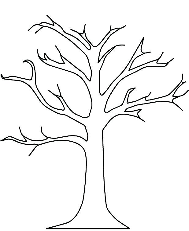 Leafless Tree Drawing at GetDrawings | Free download