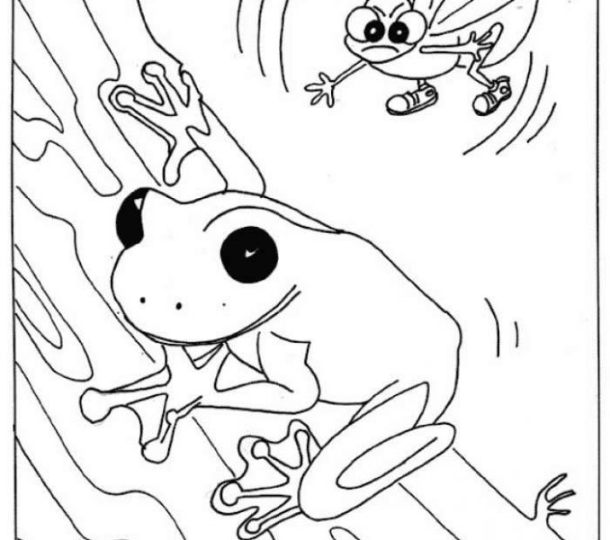 678x600 Leap Frog Coloring Pages Coloring Page