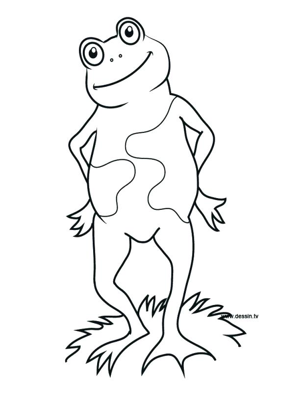 618x824 Leap Frog Coloring Pages Coloring Frog Standing Marvellous Mask