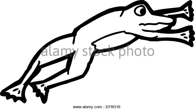 640x362 Jumping Frog Black And White Stock Photos Amp Images