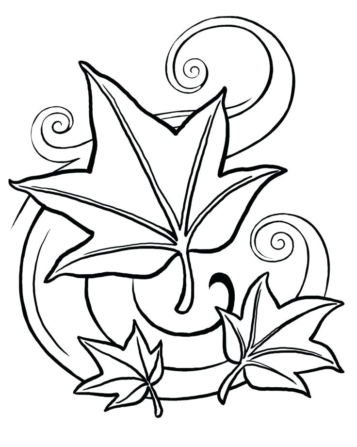 736x921 Elegant Leaves Coloring Pages Crayola Photo Ash Leaf Page Kids