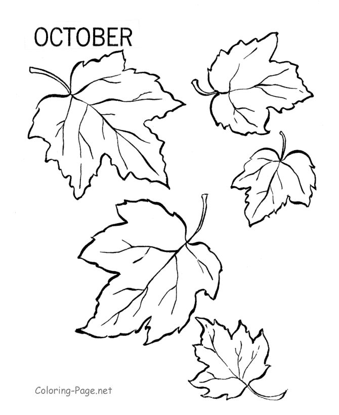 670x820 Gallery How To Draw Leaves Falling,