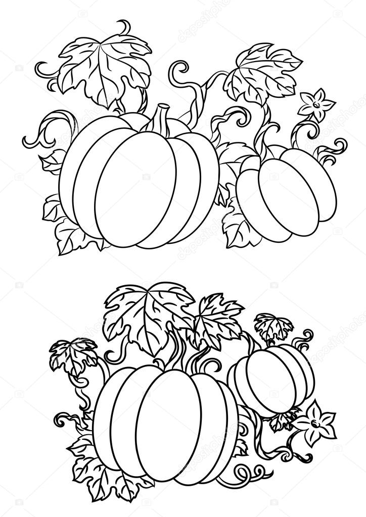 724x1024 Black And White Line Drawings Of Pumpkins Stock Vector