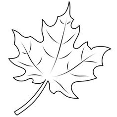 236x236 How To Draw Maple Leaves Easy Leaf Step By Step Drawing Lesson