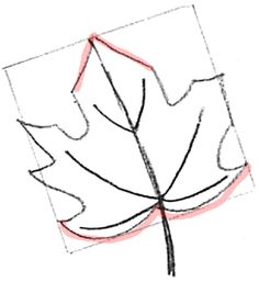 236x257 Gallery Leaf Drawings Step By Step,