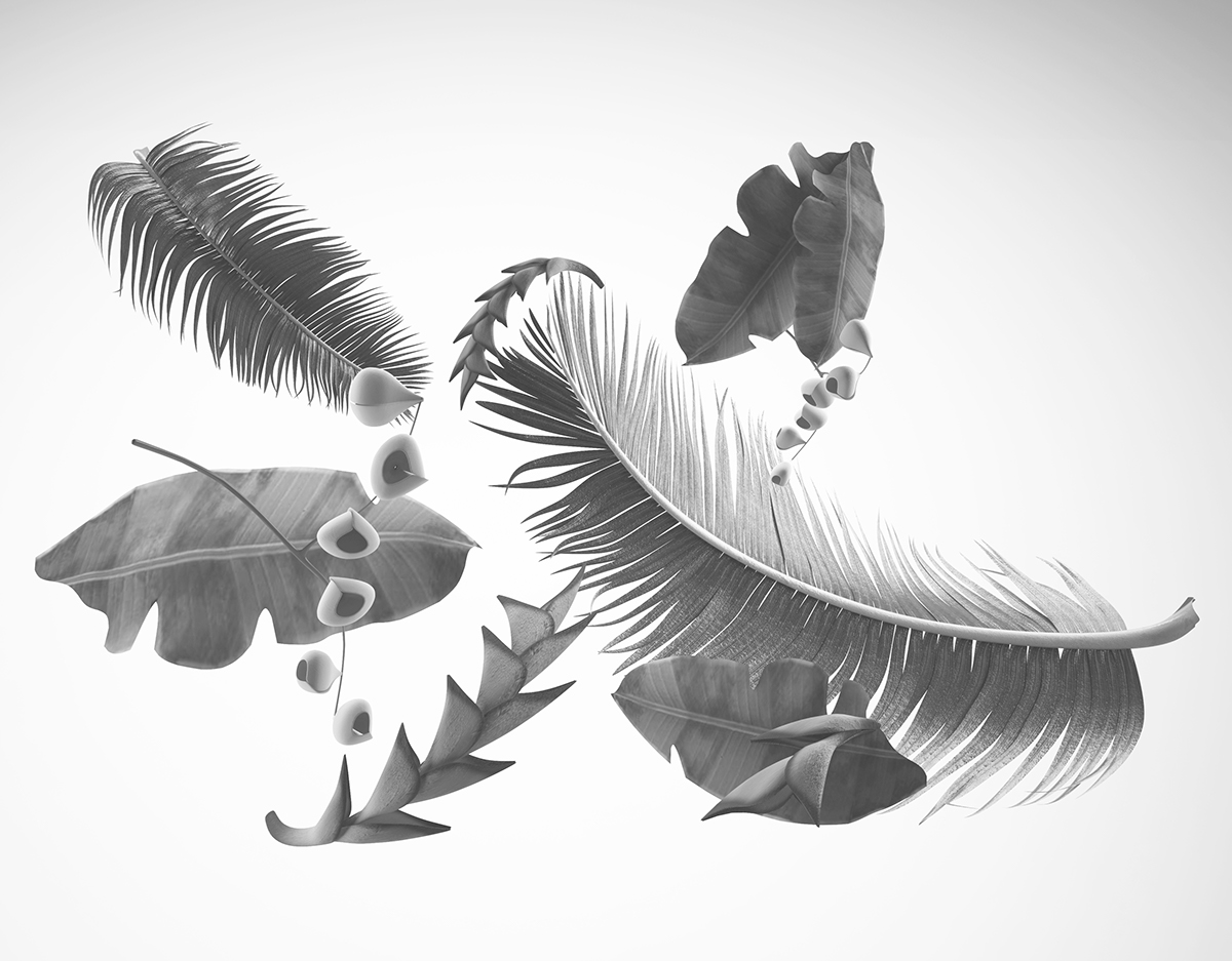 1200x937 Nike Shoes Of Paradise On Behance