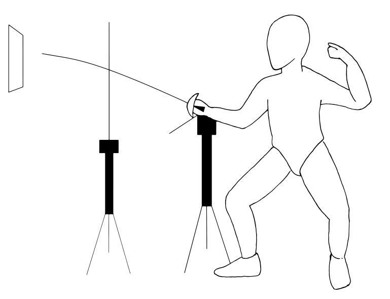 769x590 In Guard Position Before The Led Light Stimulus.