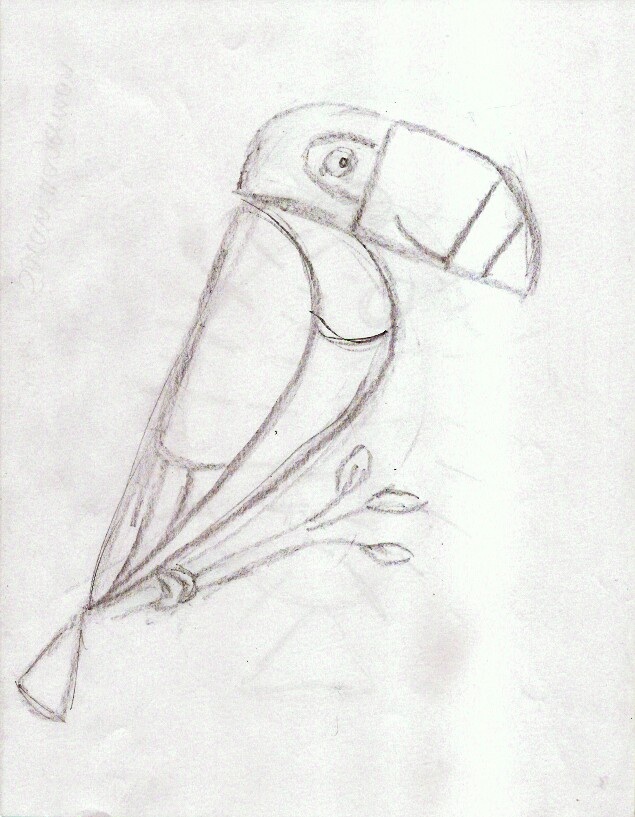 635x817 Star Sketchers Weeks 1 Amp 2 Lines, Shapes, Patterns, Proportions