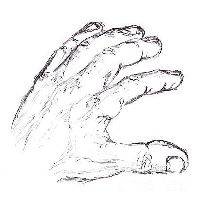 424x427 My Left Hand Drawing By Drazen Jerkovic