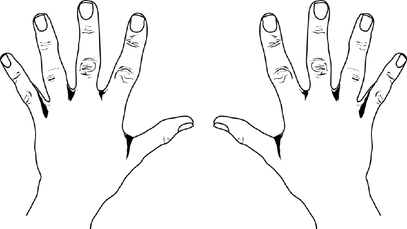 800x451 The Top 5 Best Blogs On Outline Of Left Hand