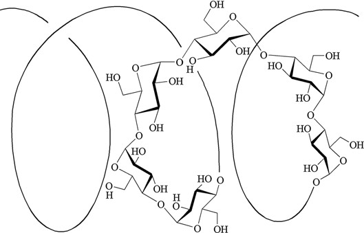 529x339 Sketch Illustration A Left Handed, Single Stranded Helix