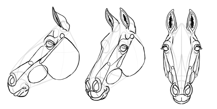 700x353 How To Draw Horses Step By Step Instructions