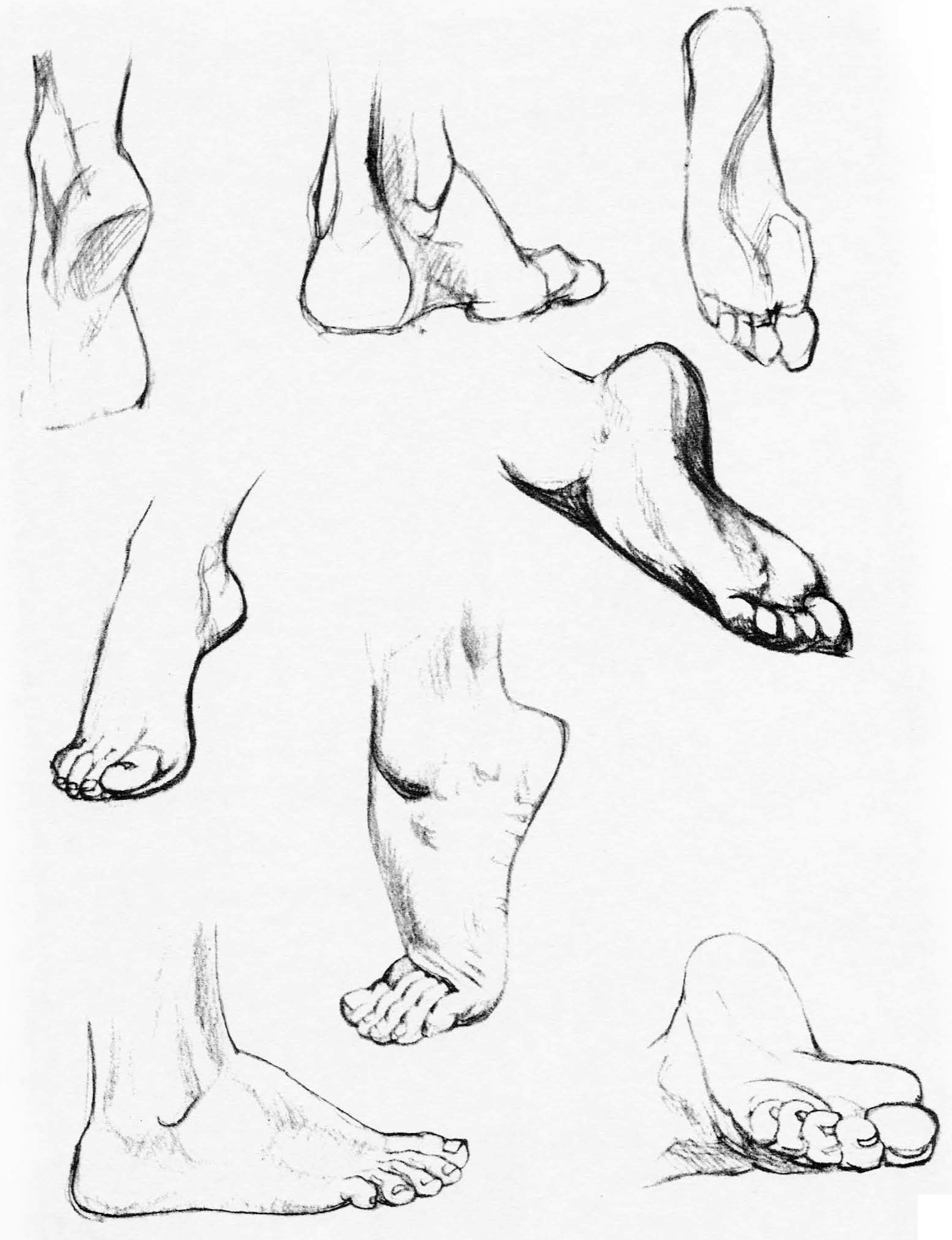 2322x3024 How To Draw The Foot Drawing Feet And The Anatomy Of Them