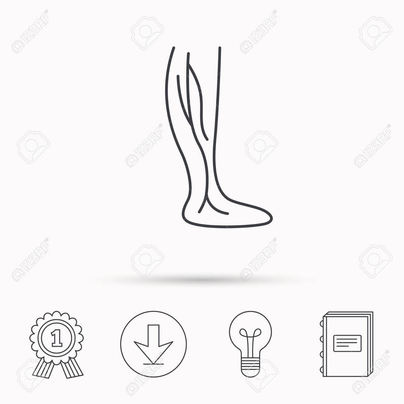 1300x1300 Phlebology Icon. Leg Veins Sign. Varicose Or Thrombosis Symbol
